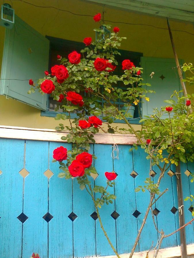 Blue Cottage Podvrh  Exterior photo