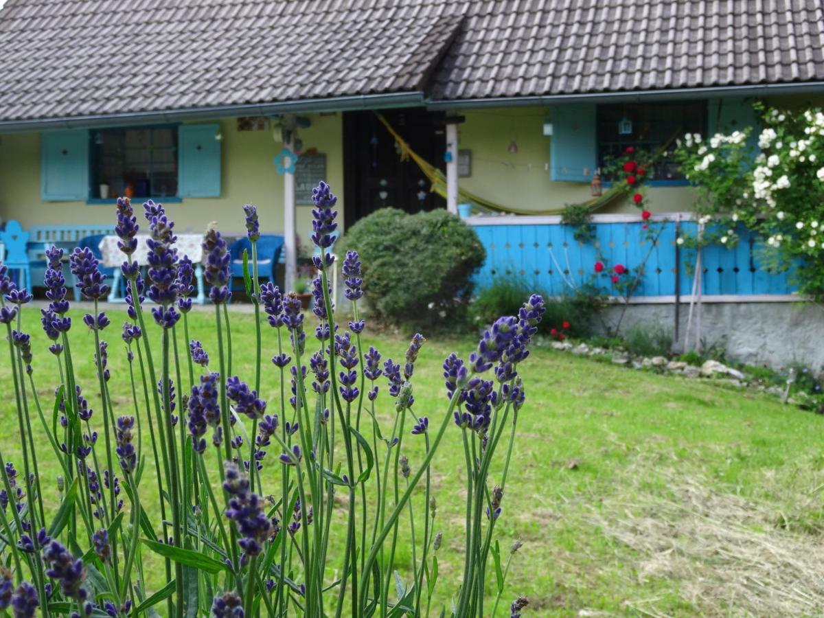 Blue Cottage Podvrh  Exterior photo